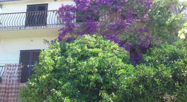 Apartments Raos Podgora