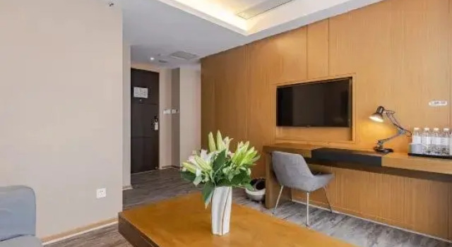 Семейный люкс Viola Hotel Express