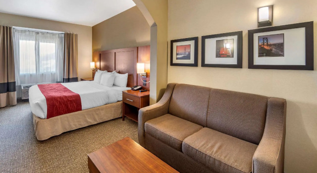 Двухместный люкс THE ATRIUM HOTEL SFO AIRPORT
