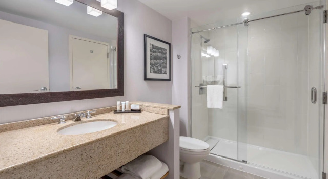 Двухместный люкс Embassy Suites Boston at Logan Airport