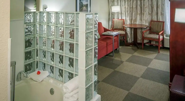Номер Deluxe DoubleTree by Hilton DFW Airport North