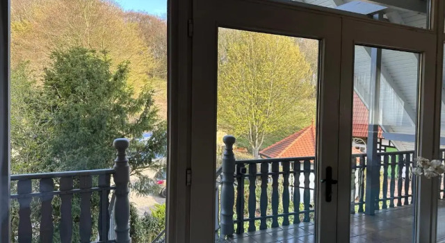 Люкс Hotel Wittekindsquelle