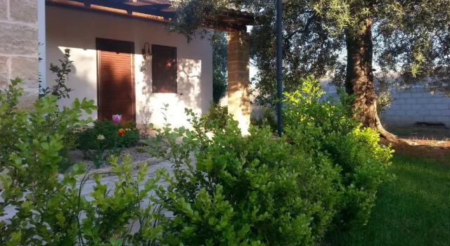 Семейная студия Gli Ulivi Residence