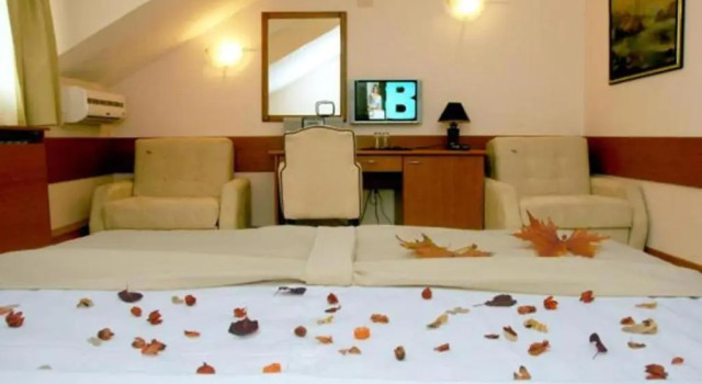 Habitación doble Estándar Hotel Tomce Sofka