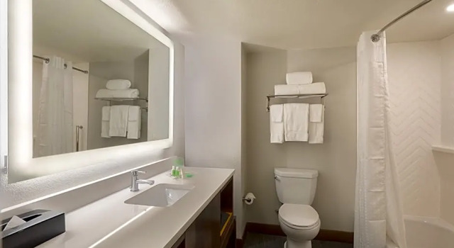 Номер Deluxe Holiday Inn & Suites Orlando SW - Celebration Area by IHG