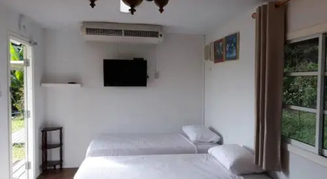 Avocado Resort