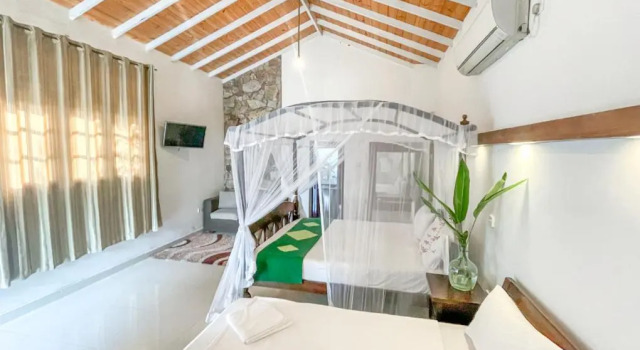 Люкс Deluxe Airport Green Olive Villa
