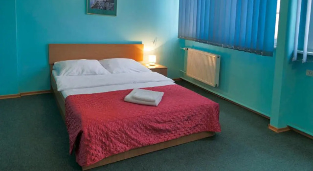 Номер Standard Hotel Chemik
