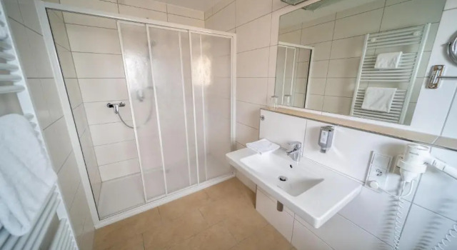 Двухместный номер Standard Hotel Rieder