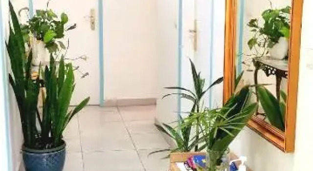 Номер Standard Home & Flower 3