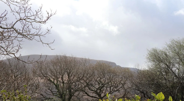 Rowantree, Réserver Hôtel Killarney Anneau du Kerry