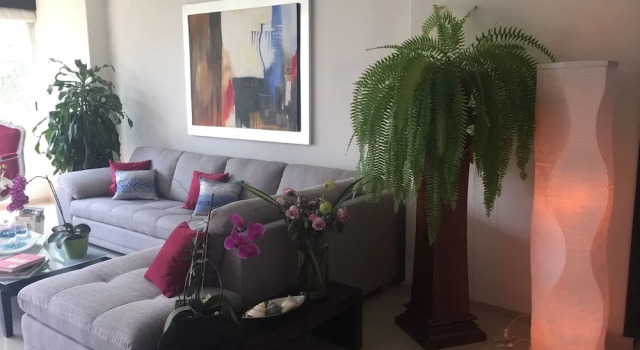 JJM Guest House, Book Pension Naucalpan Mexico City