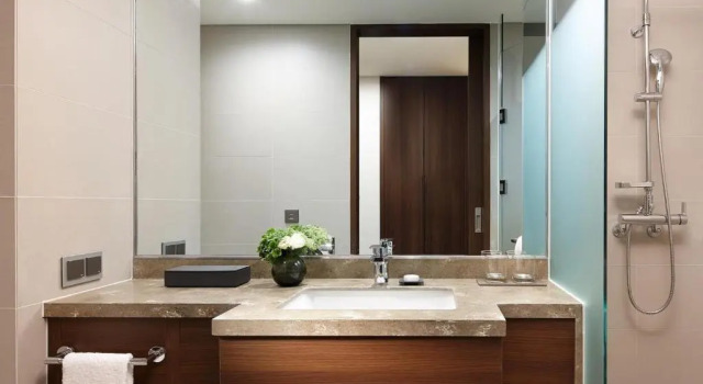 Двухместный номер Standard LOTTE CITY HOTEL Myeongdong