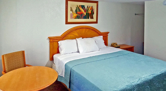 Blue Palm Inn