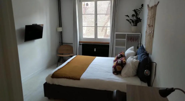 Апартаменты Appartement Spacieux et Cosy - Strasbourg Centre