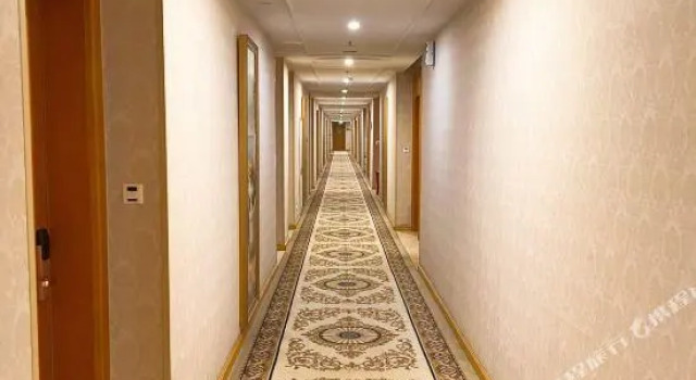 Люкс Deluxe Vienna Hotel (Beijing Jiugong Metro Station)