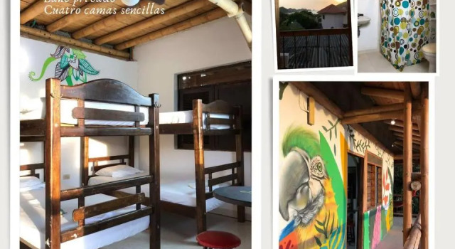 Cama en dormitorio compartido La Tortuga Hostel
