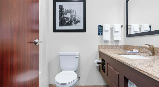 Двухместный номер Standard Cobblestone Hotel & Suites - Lynden