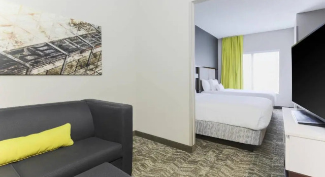 Двухместный люкс студия SpringHill Suites by Marriott Austin Parmer/Tech Ridge
