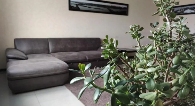 Студия Apartment in Complex Korona on Knyazhyi Zaton 21