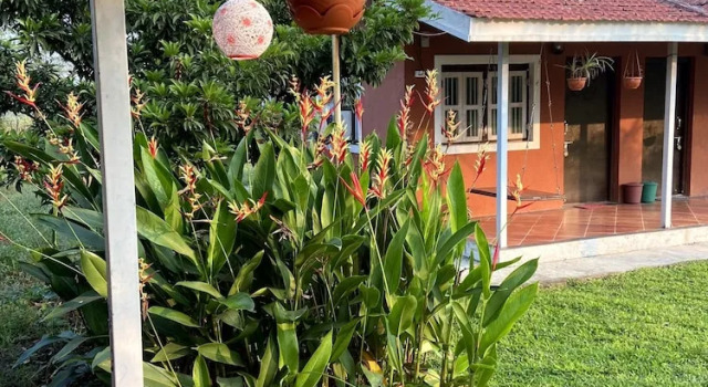 Коттедж Mango Tree Farm