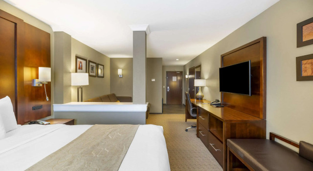 Двухместный люкс Comfort Suites Carlsbad
