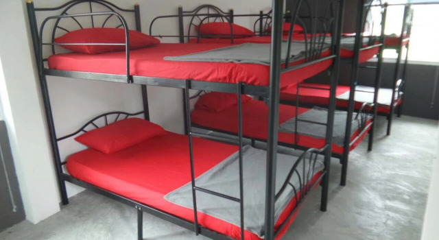 Кровать в общем номере Monkey Samui Hostel
