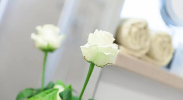 Двухместный номер Standard Hotel Villa Rosa