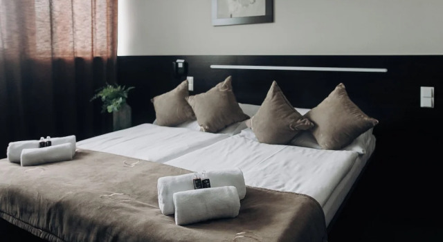 Номер Economy Interhotel Tatra