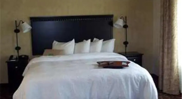 Номер Standard с красивым видом из окна Hampton Inn & Suites Dallas-Arlington North-Entertainment District