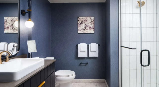 Четырёхместный номер Standard The Hoffmann Hotel Basalt Aspen Tapestry Collection Hilton