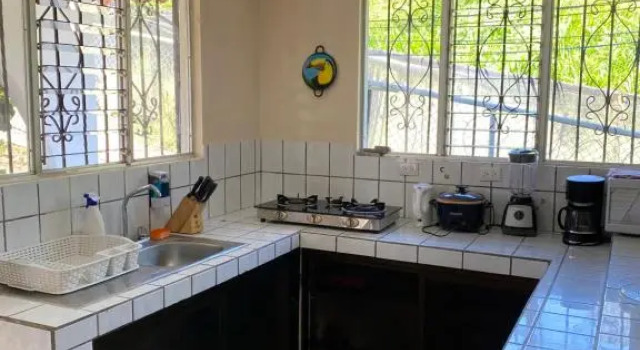 Апартаменты c 1 комнатой Agutí Apartment