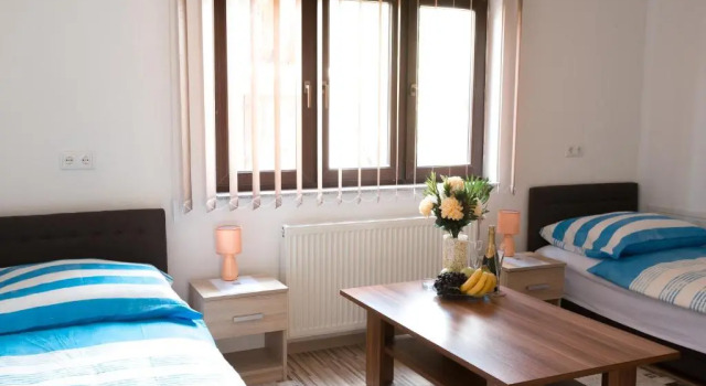 Номер Standard Guesthouse Vila Puzic