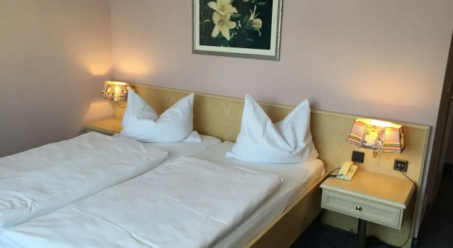 Двухместный номер Standard Brandiser Parkhotel
