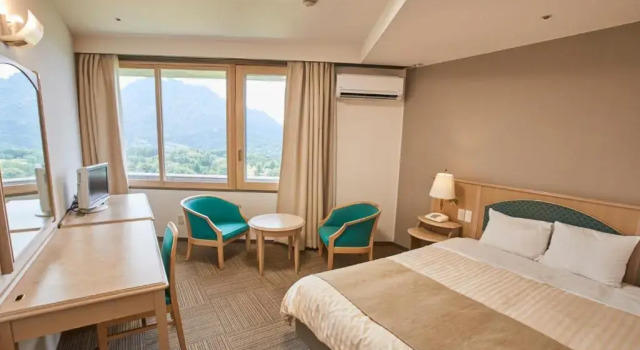 Двухместный номер Standard Myogi Green Hotel