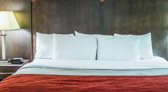 Люкс Quality Inn Raleigh Downtown