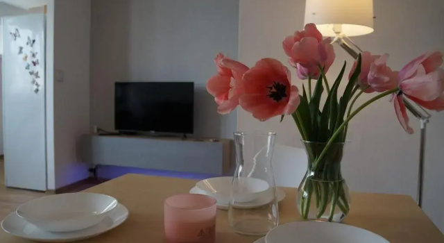 Apartament Gliwice Centrum Dunikowskiego