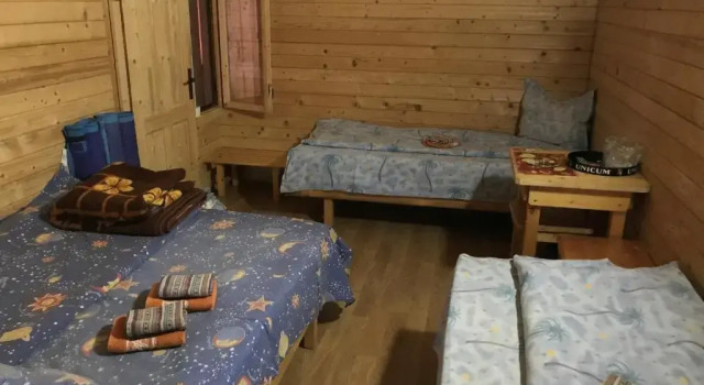 Номер Standard Elga's Punk Rock Hostel