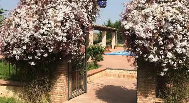 Apartment Contrada Sovarelle, Book Apartment Hotels in Sicily with a Pool, Swimming Pool