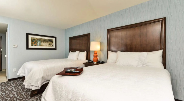 Номер Standard Hampton Inn Corning/Painted Post