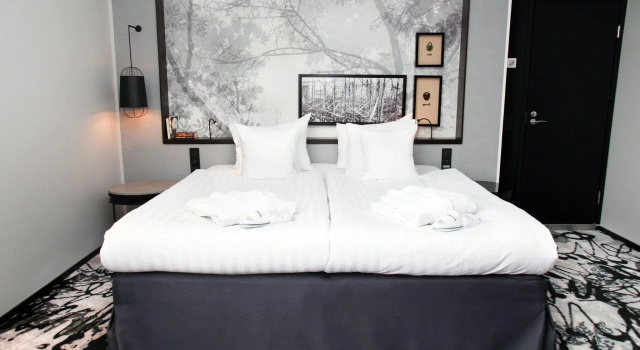 Двухместный полулюкс Home Hotel Katajanokka