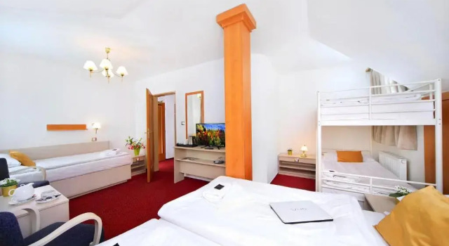 Студия Hotel Hradec