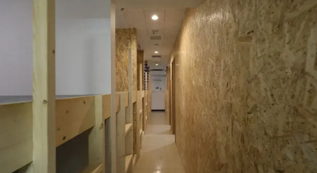 Seng i sovesal Odori Backpackers