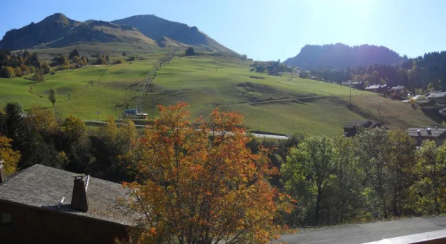 Appartement Le Grand-Bornand, 2 pièces, 4 personnes - FR-1-467-56