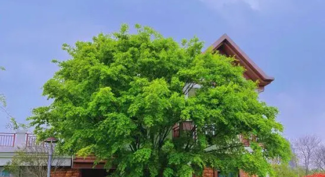 Oriental Garden Hotel, Book Hotel Yancheng 