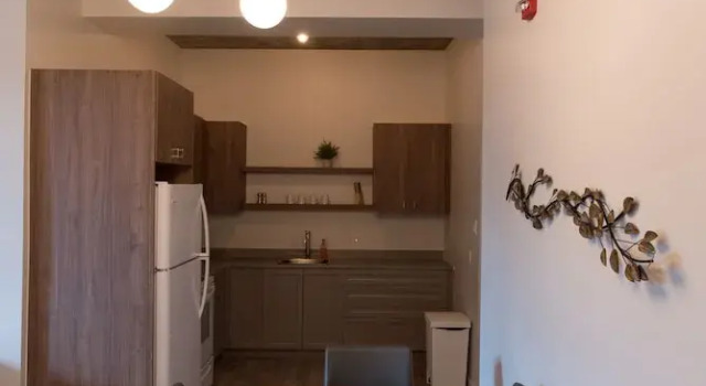 Apartament Le Central