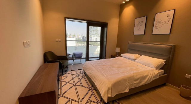 Park View Spacious Studio Dubai
