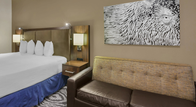 Двухместный номер Standard Best Western Plus Williston Hotel & Suites