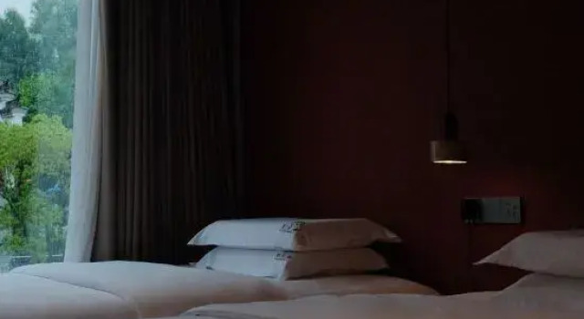 Семейный люкс с 2 комнатами Floral Lux Hotel · fan Dust Home New Song Dynasty Luxury and Hidden Designer Guesthouse