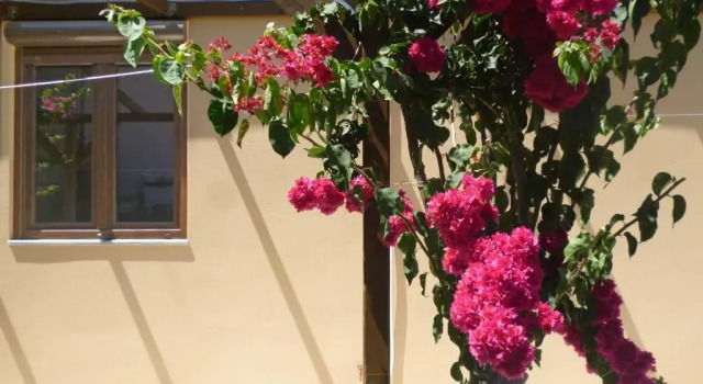 Вилла Sea Front Suites, Maisonettes & Apartments